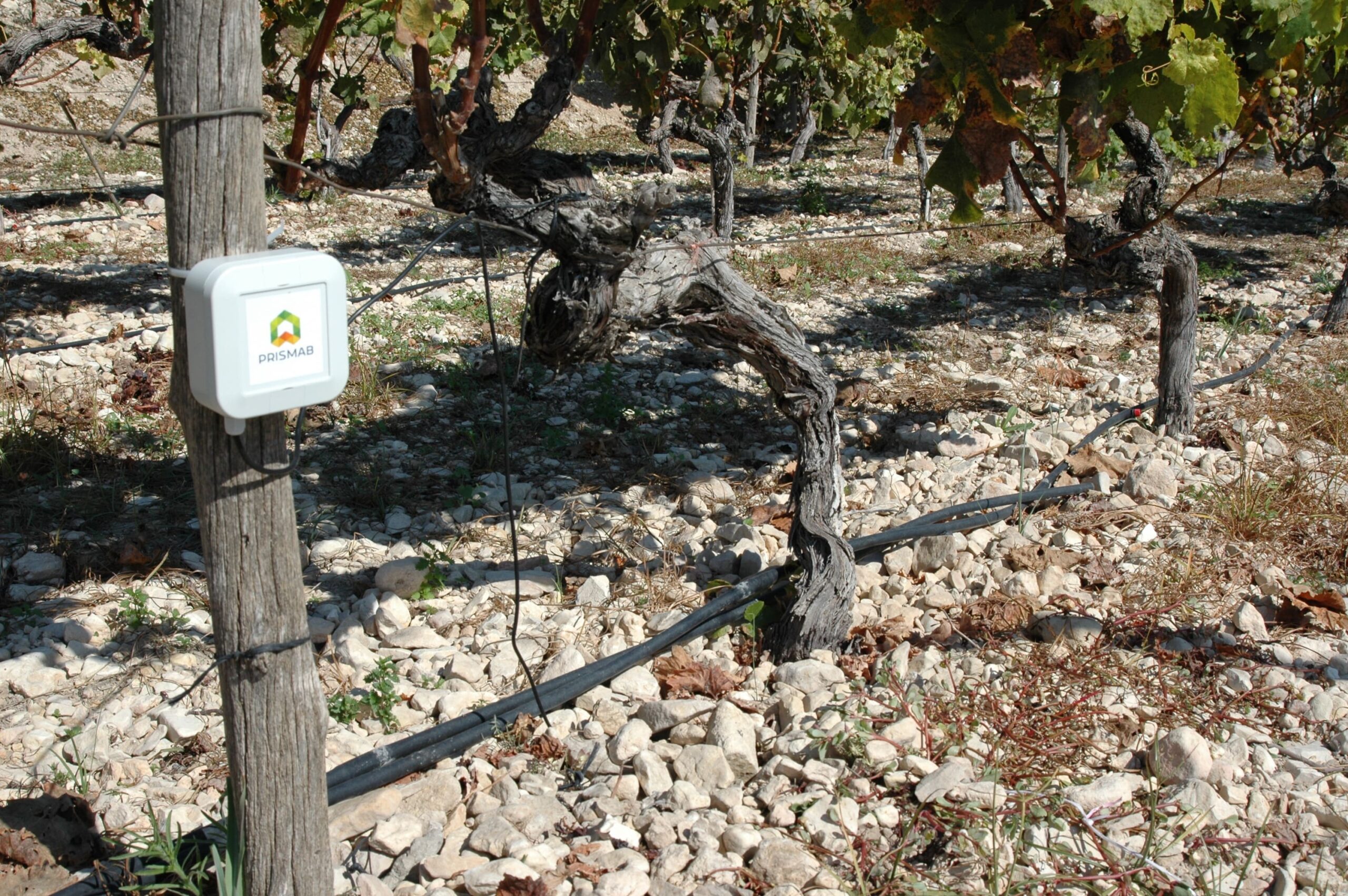 Primab x UnaBiz|Prismab x UnaBiz